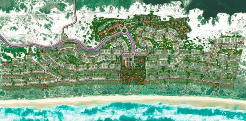 Planta Reserva Apoema Litoral Norte Bahia